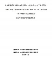 山東祥東新材料科技有限公司1.2萬噸/年6-叔丁基鄰甲(60K)、4-叔丁基鄰甲酚(偏 24 酚)和 4，6-二叔丁基鄰甲酚(偏 246 酚)烷基甲酚項目竣工環(huán)境保護(hù)驗收監(jiān)測報告